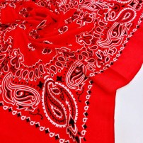 Красная бандана с геометричными узорами фото