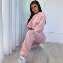 Теплый женский спортивный костюм штаны + кофта топ фото