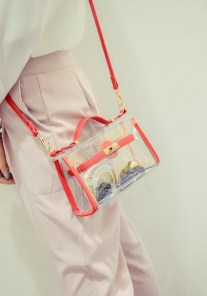 Женский прозрачный клатч с яркими вставками фото