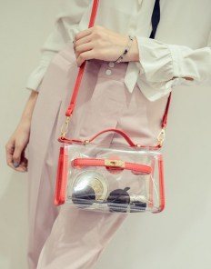 Женский прозрачный клатч с яркими вставками фото