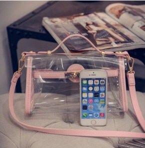 Женский прозрачный клатч с яркими вставками фото