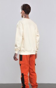 Обычный однотонный свитшот в ярких цветах фото